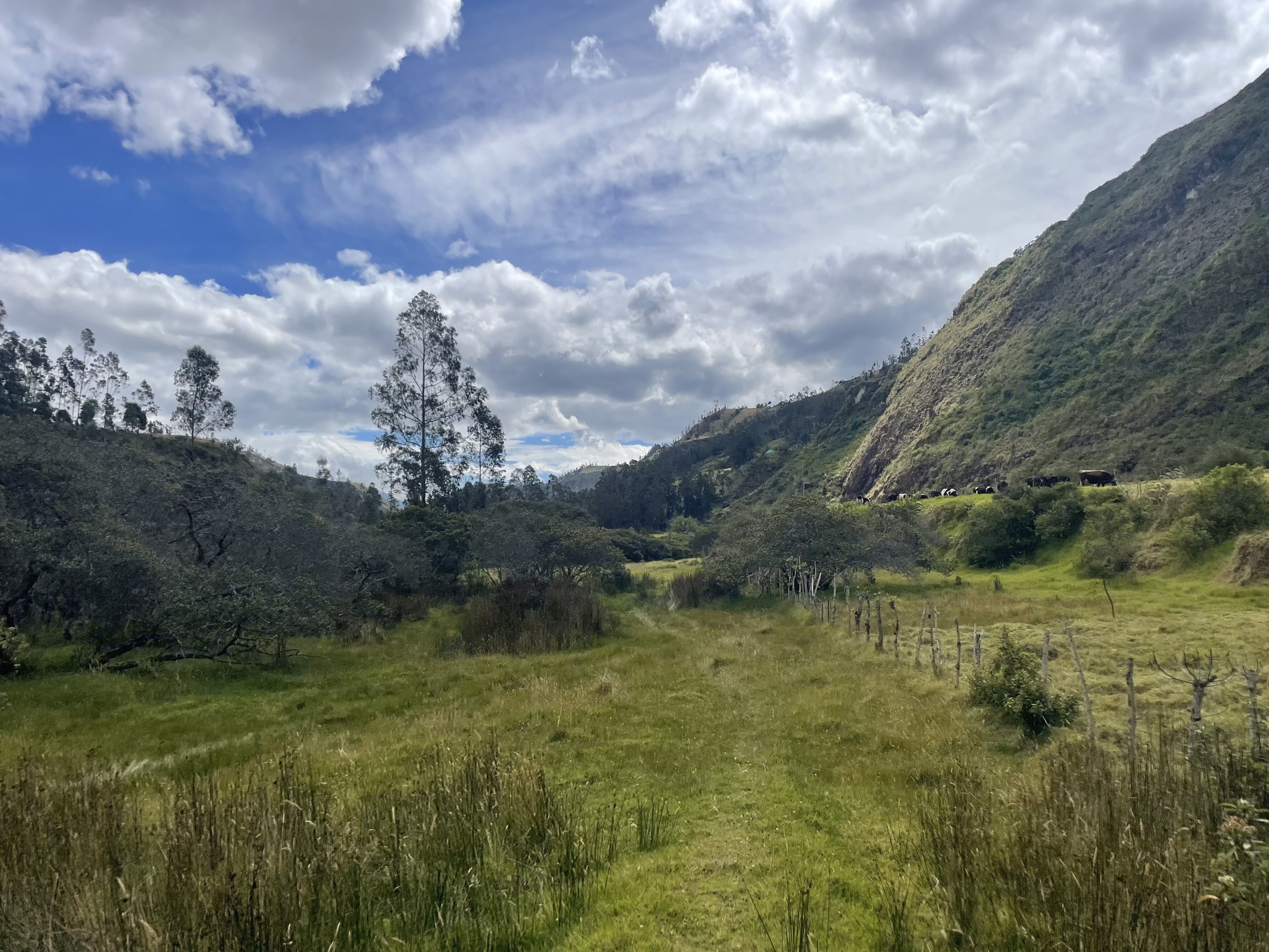 Hike